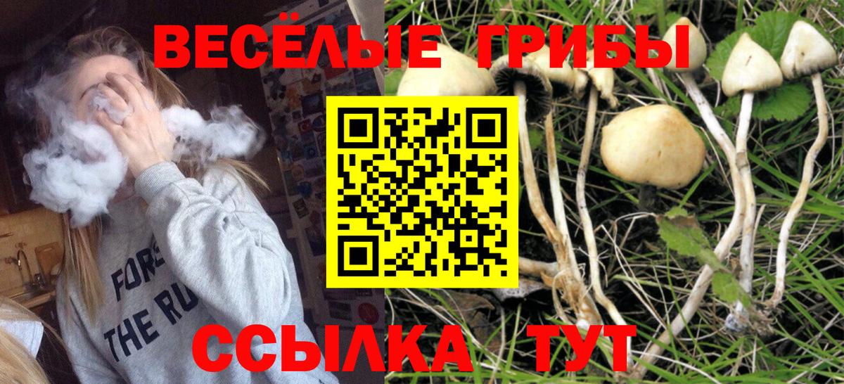 Галлюциногенные грибы Magic Shrooms Ярославль
