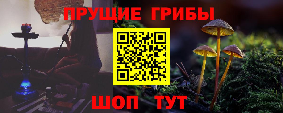 продажа наркотиков  Вход с VPN  Ярославль  Галлюциногенные грибы Magic Shrooms 